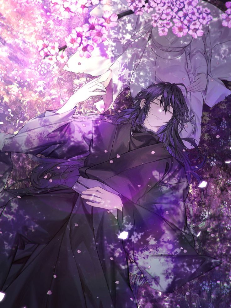 Childhood Friend Of The Zenith